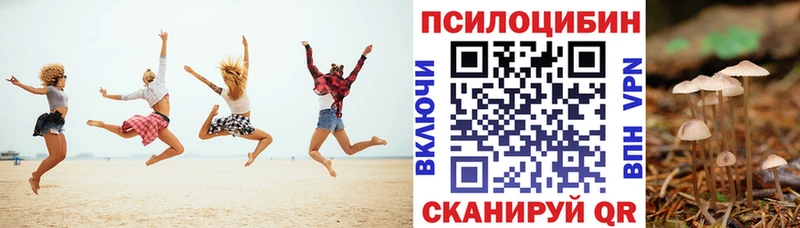 mega маркетплейс  Трёхгорный  Галлюциногенные грибы Psilocybe 